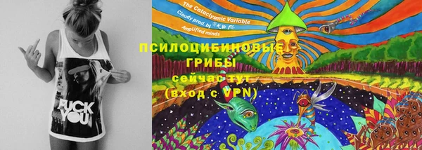 эйфоретик Пестово