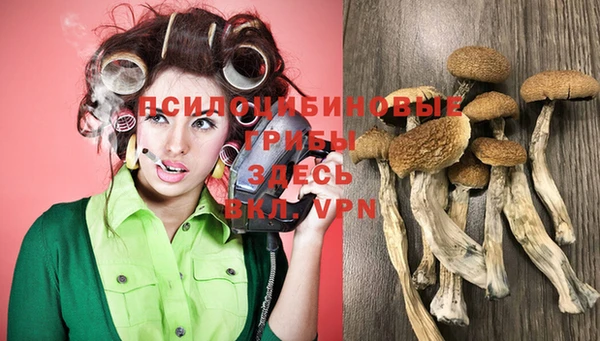 каннабис Пересвет