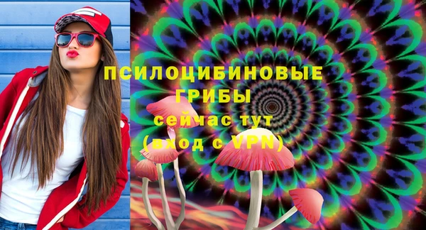 мет Осинники